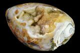 Chalcedony Replaced Gastropod With Sparkly Quartz - India #165160-1